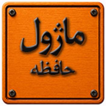 ماژول حافظه