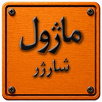 ماژول شارژر